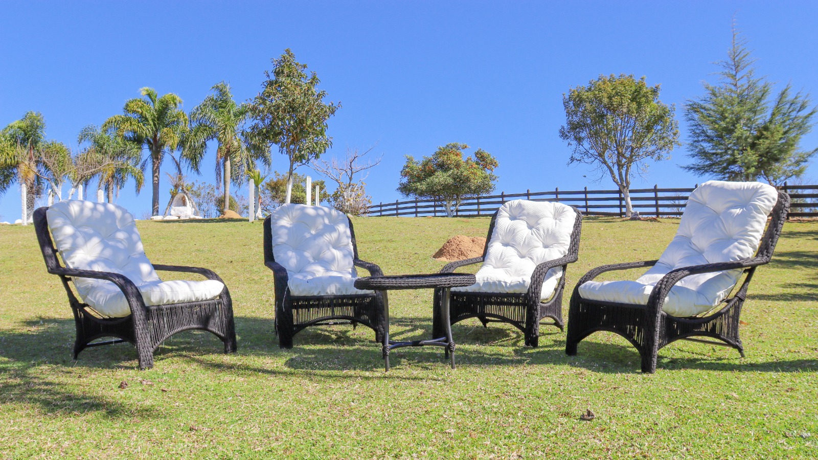 Poltronas vendidas na Salix - Móveis artesanais